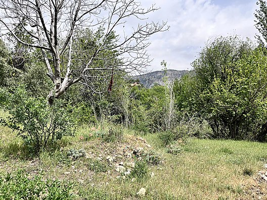   Karaman / Ermenek / Yalındal Köyü 809M² BAHÇE SATILIKTIR.  - KARAMAN ERMENEK fotoğraf 9