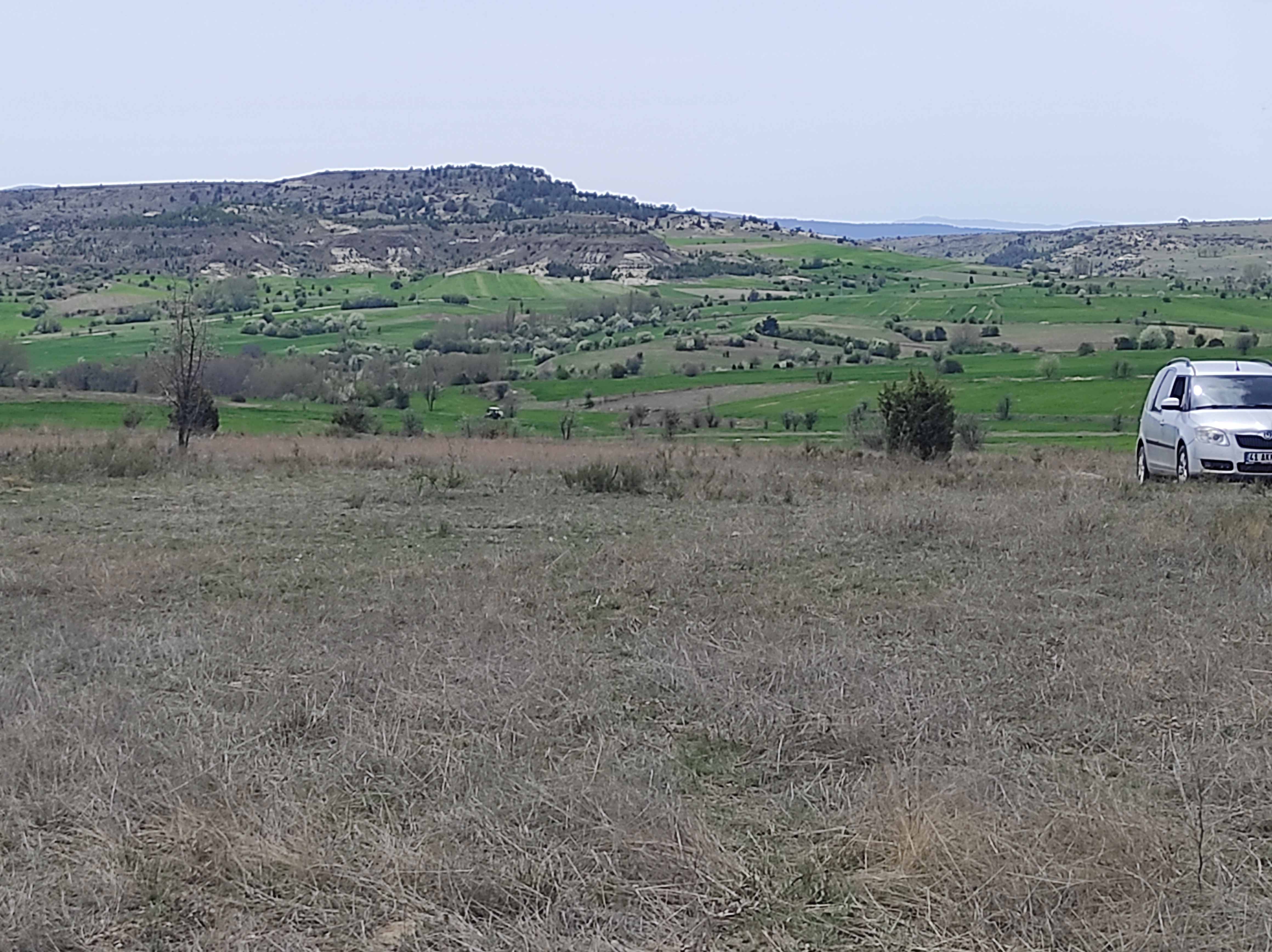 KÜTAHYA MERKEZ KÜKÜRT   KÖYÜNDE 3.353  M²  TARLA  SATILIKTIR - KÜTAHYA MERKEZ fotoğraf 15