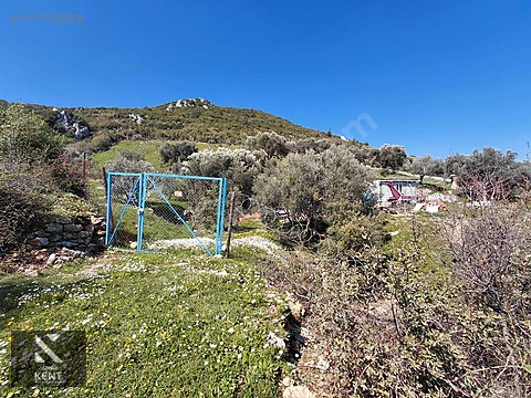 Kemalpaşa Soğukpınar İmar Gelişim Alanında Satılık 2,877m2 Bahçe - İZMİR KEMALPAŞA fotoğraf 5