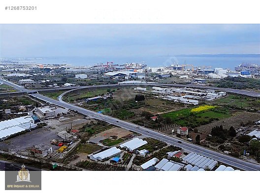 Yalova Altınova Çavuş Çiftliği Kaçırılmayacak Yatırım Fırsatı - YALOVA ALTINOVA fotoğraf 2