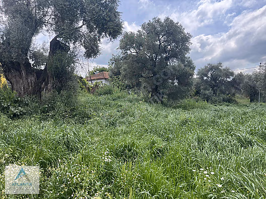 Atlantik gayrimenkul den satılık imarlı arsa - İZMİR ÖDEMİŞ fotoğraf 10