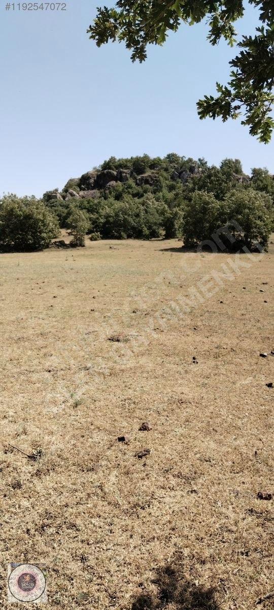Kütahya merkez kozluca köyü nde satılık tarla - KÜTAHYA MERKEZ fotoğraf 16