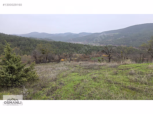 RESMİ YOLLU 800 M2 MANZARALI HOBİ BAHÇESİ - BİLECİK GÖLPAZARI fotoğraf 5