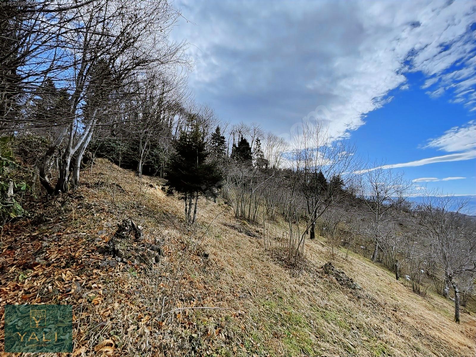 ÇITLAKKALEDE 1050M2 MUHTEŞEM DENİZ MANZARALI İMARLI ARSA - GİRESUN MERKEZ fotoğraf 5