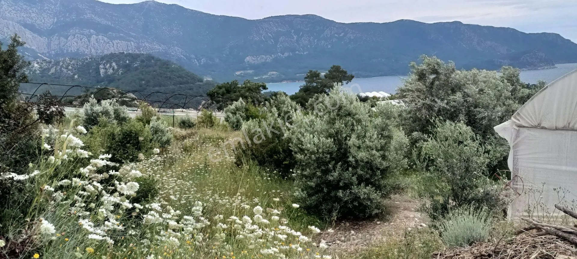 Kumluca Yenicepınar Da Deniz Manzaralı Satılık Arsa-tarla - ANTALYA KUMLUCA fotoğraf 29