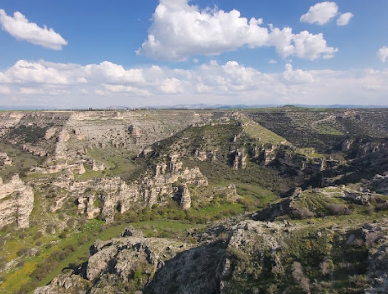 UŞAK ULUBEY BÜYÜKKAYALI KÖYÜ’NDE 3.021 M² TARLA SATILIKTIR - UŞAK ULUBEY fotoğraf 6