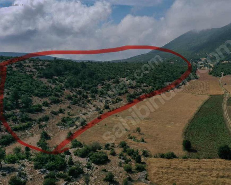 YAYLADAĞI OLGUNLAR DA TEK TAPU 63 DÖNÜM Hatay / Yayladağı / Olgunlar Mh. - HATAY YAYLADAĞI fotoğraf 2