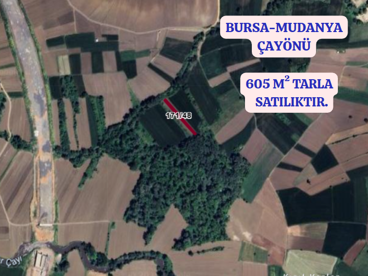 BURSA MUDANYA ÇAYÖNÜ KÖYÜNDE 605 M TARLA SATILIKTIR - BURSA MUDANYA fotoğraf 2