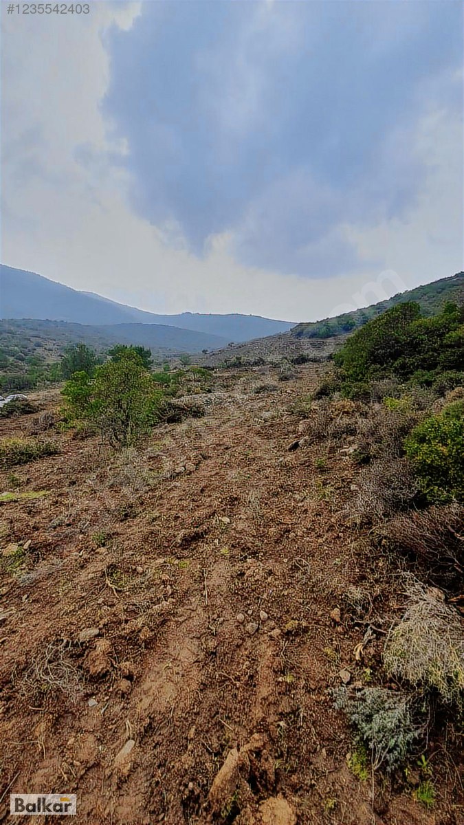 KARABURUN EĞLANHOCA'DA FIRSAT FİYAT 8 DÖNÜM TARLA - İZMİR KARABURUN fotoğraf 8