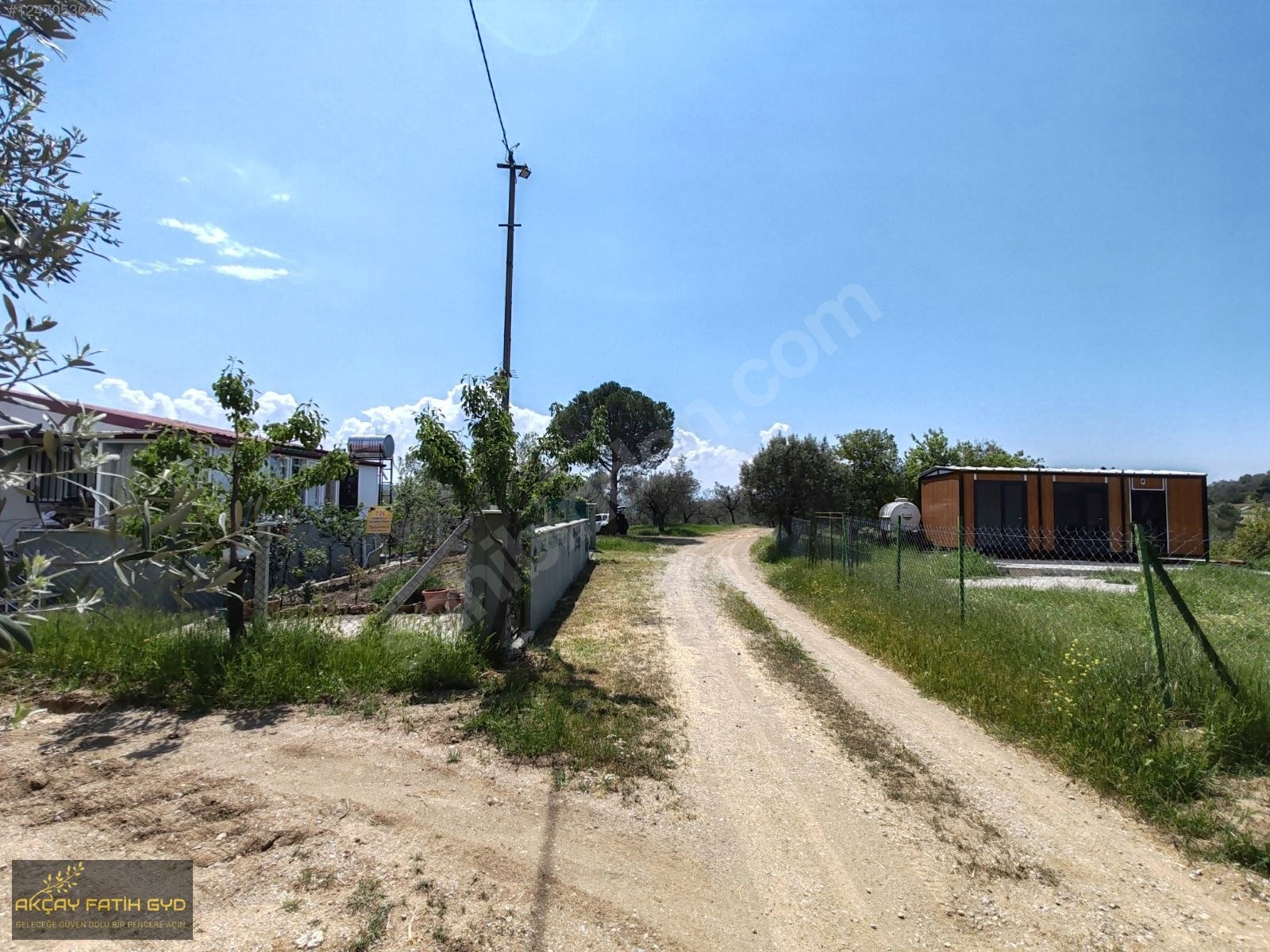 Hacıarslanlar da 3.100m2 SATILIK Kaçmaz Fırsat Zeytinlik - BALIKESİR EDREMİT fotoğraf 16