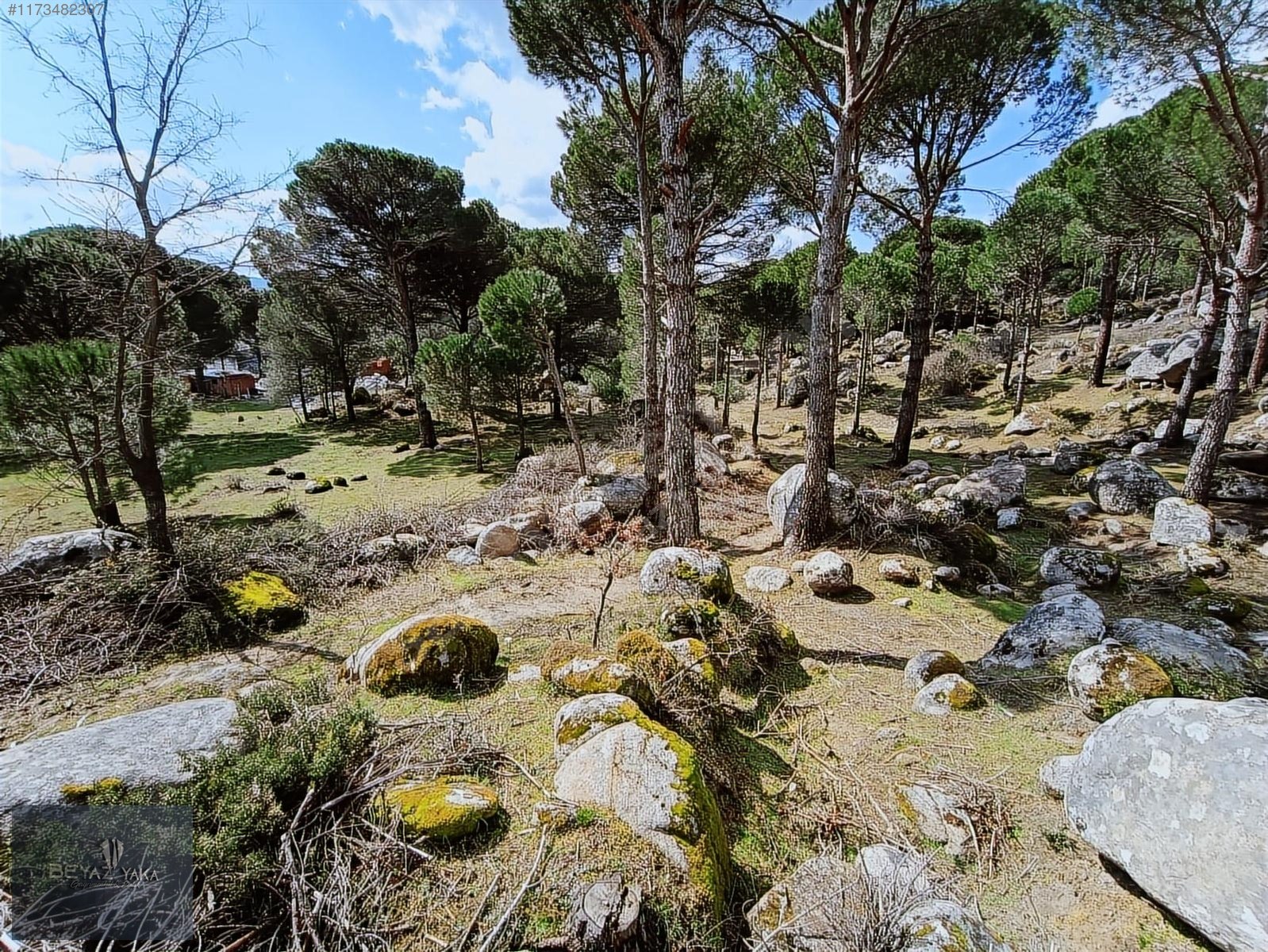 BEYAZYAKA'DAN BERGAMA HACIHAMZALAR MAH. SATILIK ARAZİ - İZMİR BERGAMA fotoğraf 7