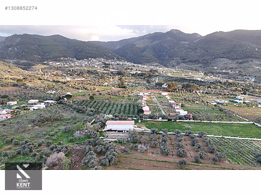 Kemalpaşa Gökyaka Satılık 11.511 m2 Bağ - İZMİR KEMALPAŞA fotoğraf 3