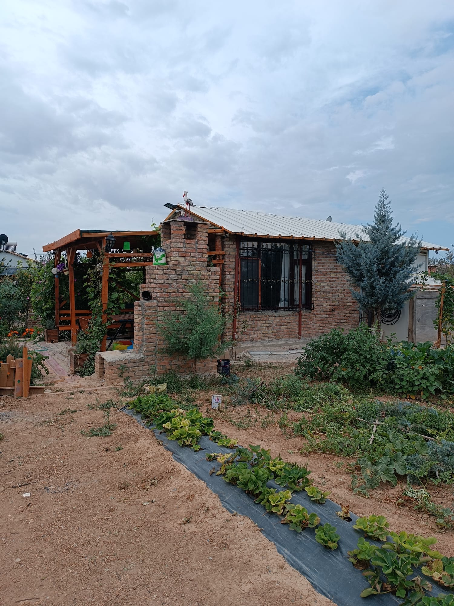 İÇİNDE EVİ ELEKTRİĞİ SUYU OLAN HAZIR KURULU BAHÇE - KONYA MERAM fotoğraf 6