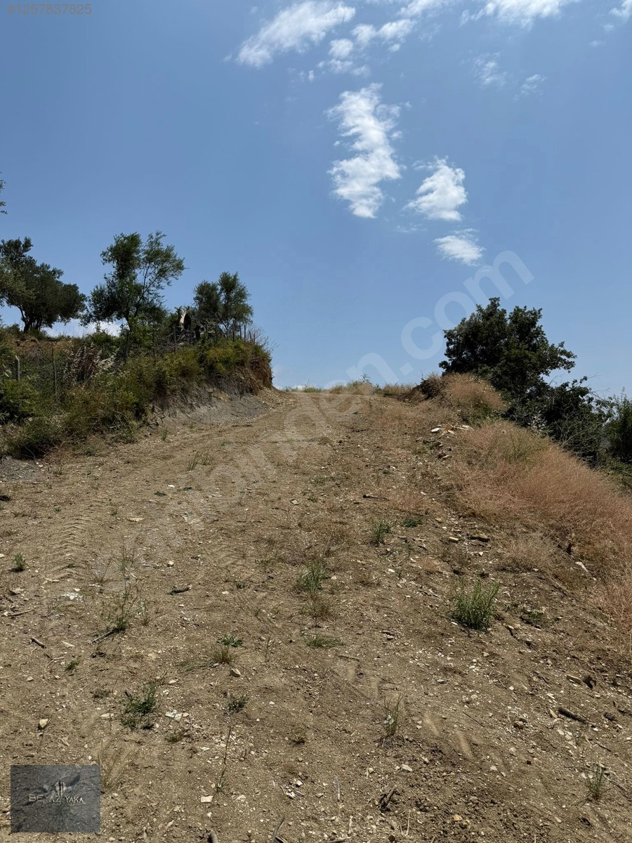 BEYAZYAKA'DAN BERGAMA ÜRKÜTLER MAH. SATILIK TARLA - İZMİR BERGAMA fotoğraf 4