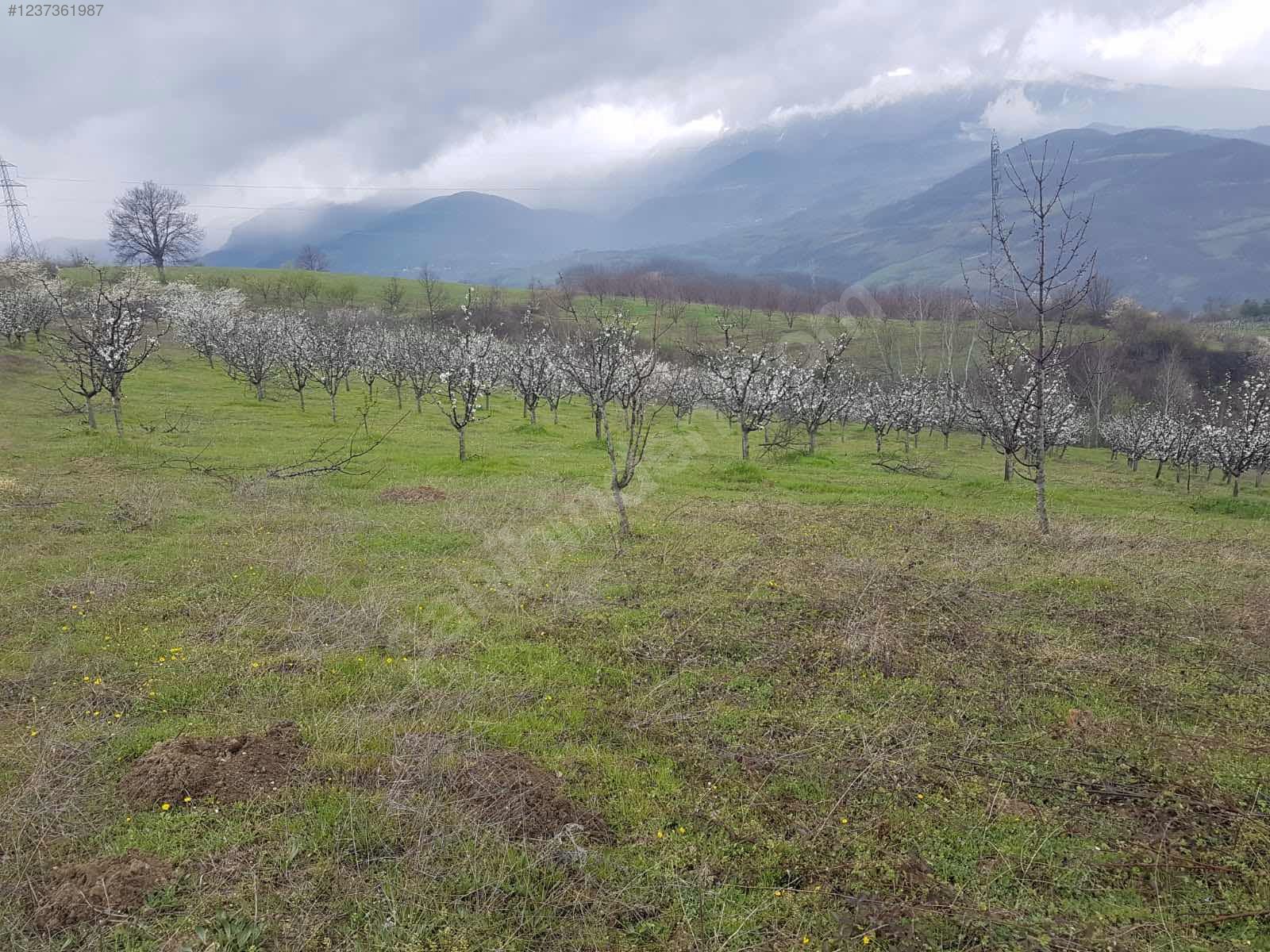 Fırsat tarla inegöl ve Uludağ manzaralı - BURSA İNEGÖL fotoğraf 8