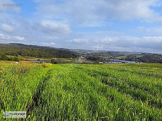 DERİNCE TAHTALI'DA ASFALT CEPHELİ%5 İMARLI 6.827M² ARSA - KOCAELİ DERİNCE fotoğraf 8