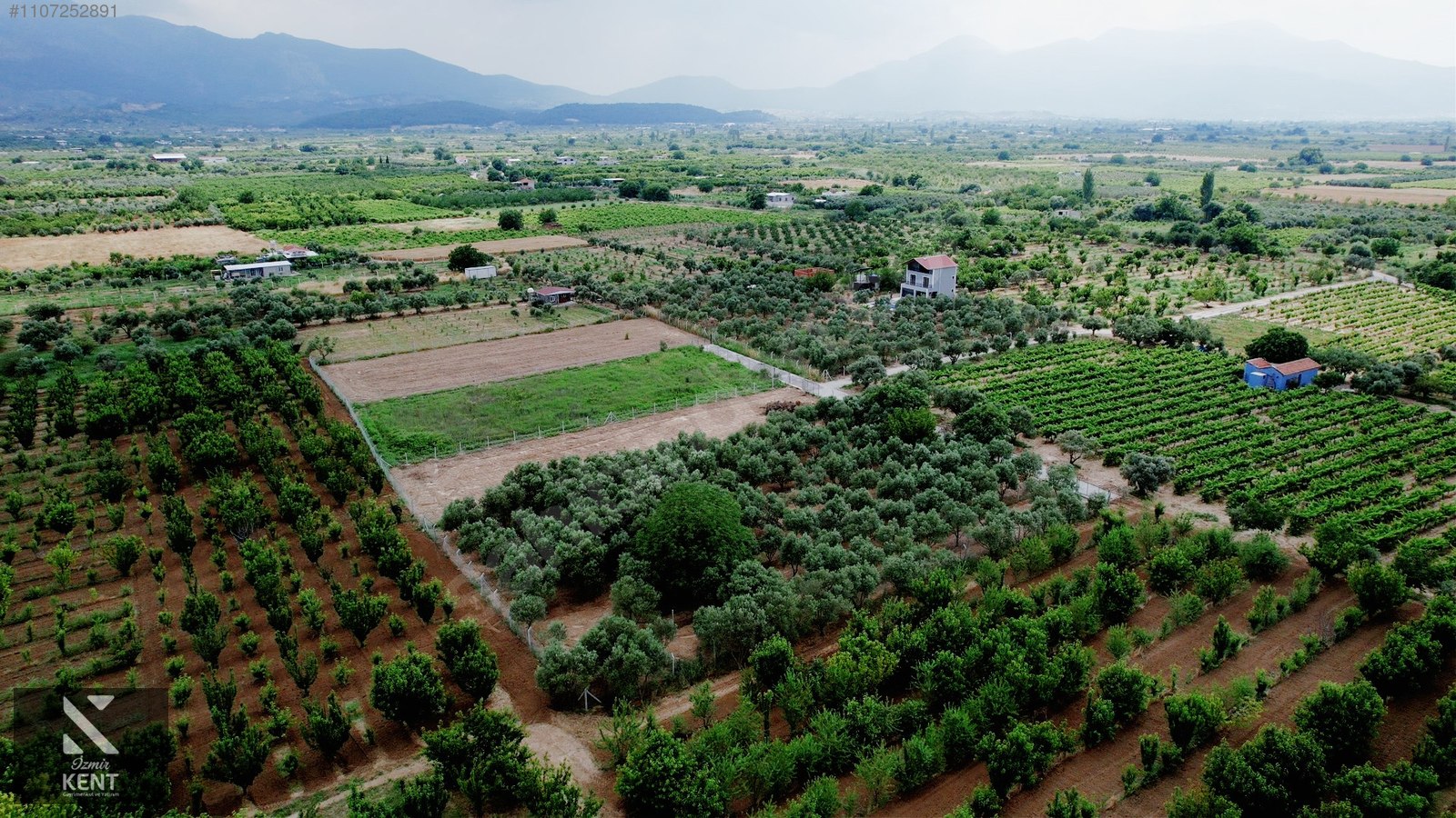 Kemalpaşa Aşağıkızılca Satılık Bahçe Tek Tapu 881 m2 - İZMİR KEMALPAŞA fotoğraf 33