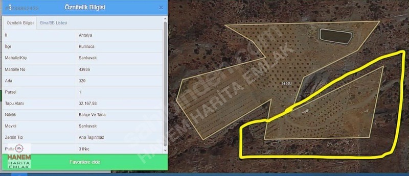 HANEM HARİTA EMLAK TAN SATILIK NARENCİYE BAHÇESİ - ANTALYA KUMLUCA fotoğraf 2