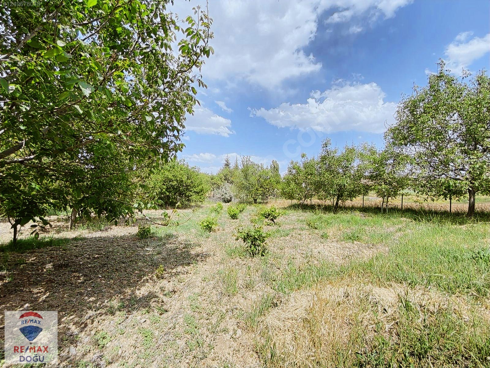 REMAX DOĞUDAN SARIÇUBUKTA SATILIK 7330M2 ÇİFTLİK - ELAZIĞ MERKEZ fotoğraf 5
