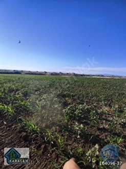 ÇANAKKALE BİGA GERLENGEÇ KÖYÜNDE SATILIK TARLA - ÇANAKKALE BİGA fotoğraf 15