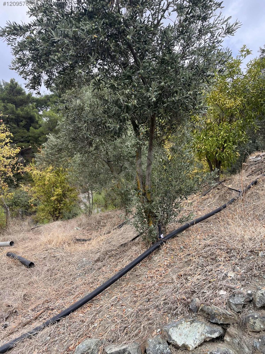 SATILIK 420 M² BAHÇELİ 3 KAT İMARLI ARSA  Hatay / Belen / Sarımazı Mh. - HATAY BELEN fotoğraf 3