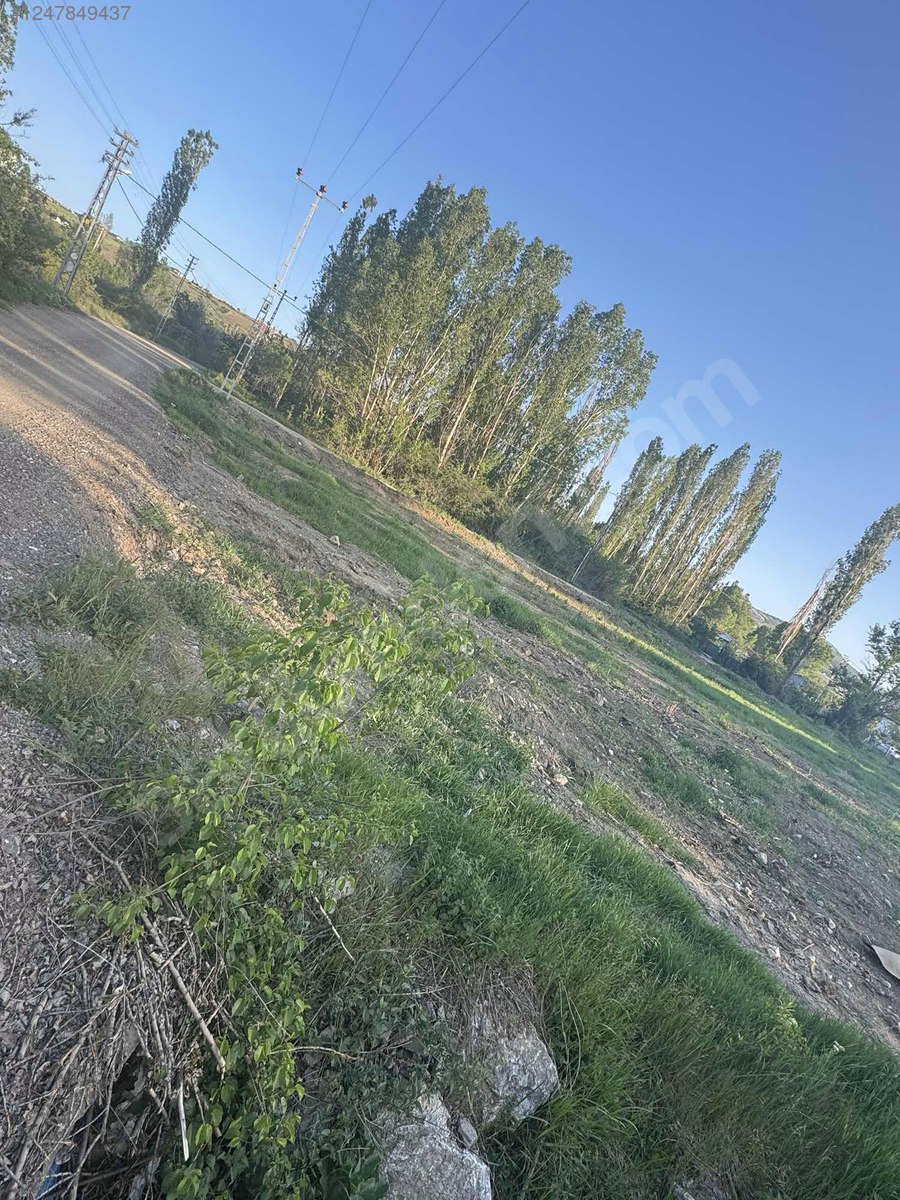 ANKARA ELMADAĞ TATLICA KÖYÜNDE 2.072 M² BAĞIMIZ  SATILIKTIR - ANKARA ELMADAĞ fotoğraf 5