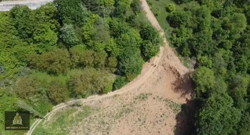 YALOVA SUGÖREN'DE DOĞAYLA İÇ İÇE SATILIK TARLA - YALOVA MERKEZ fotoğraf 3