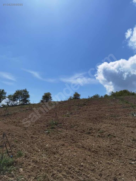BURSA İZNİK TACİR KÖYÜNDE 13.056 M TARLA SATILIKTIR - BURSA İZNİK fotoğraf 15