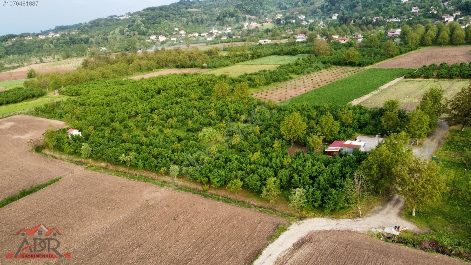 SAKARYA ARİFİYE KEMALİYE KÖYÜNDE 10866M2SATILIK.yıl sonuna kadar - SAKARYA ARİFİYE fotoğraf 38