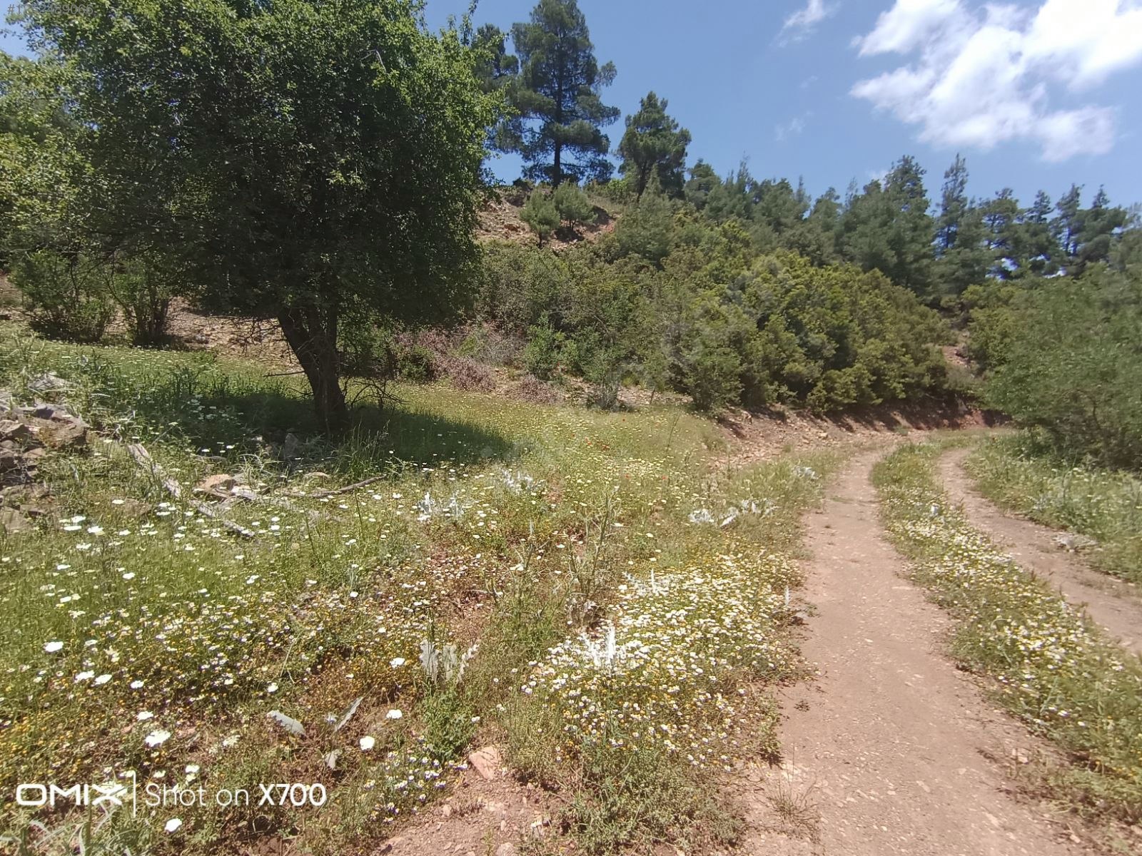 Antalya Konyaaltı Doyran Yayla 1.200 m² Tek Tapu Konyaalti Sahile 30 dk - ANTALYA KONYAALTI fotoğraf 13