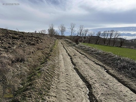 SAMSUN HAVZA KOCAPINAR'DA 4.754 M2 UYGUN ARSA - SAMSUN HAVZA fotoğraf 13