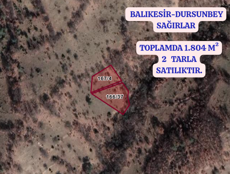 BALIKESİR DURSUNBEY SAĞIRLAR   KÖYÜNDE  TOPLAMDA 1.804  M²   2 TARLA SATILIKTIR - BALIKESİR DURSUNBEY fotoğraf 2