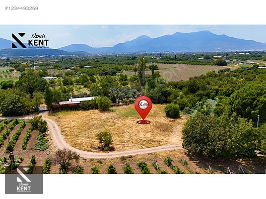 Kemalpaşa Yukarıkızılca Satılık 408 m2 Bahçe - İZMİR KEMALPAŞA fotoğraf 18
