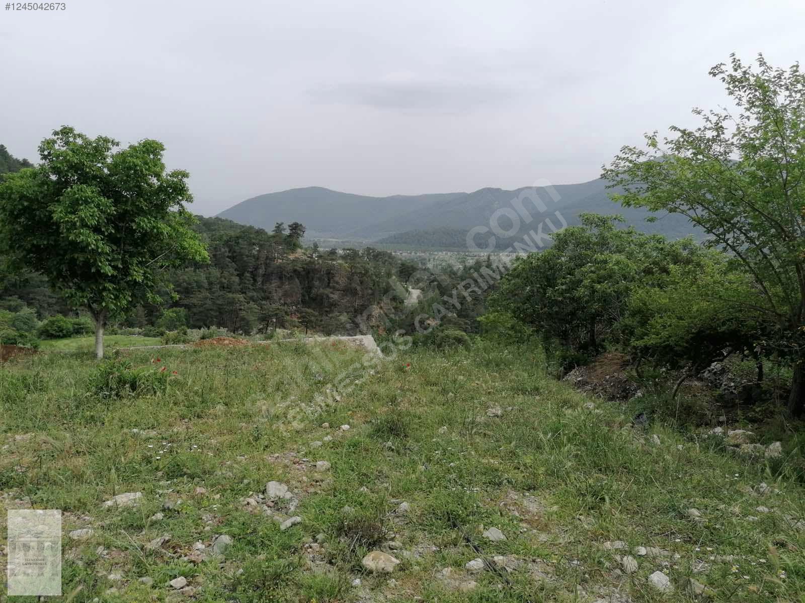 Köy içi imarlı Fırsat - MUĞLA SEYDİKEMER fotoğraf 6