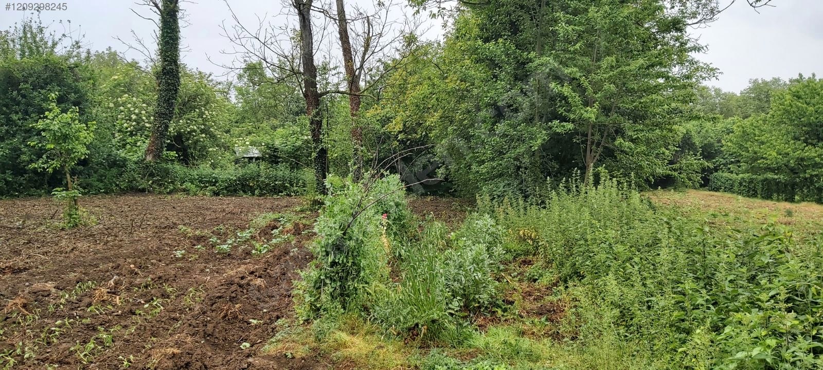 BURSA KESTEL KOZLUÖREN 507 M² BAHÇE SATILIKTIR - BURSA KESTEL fotoğraf 11