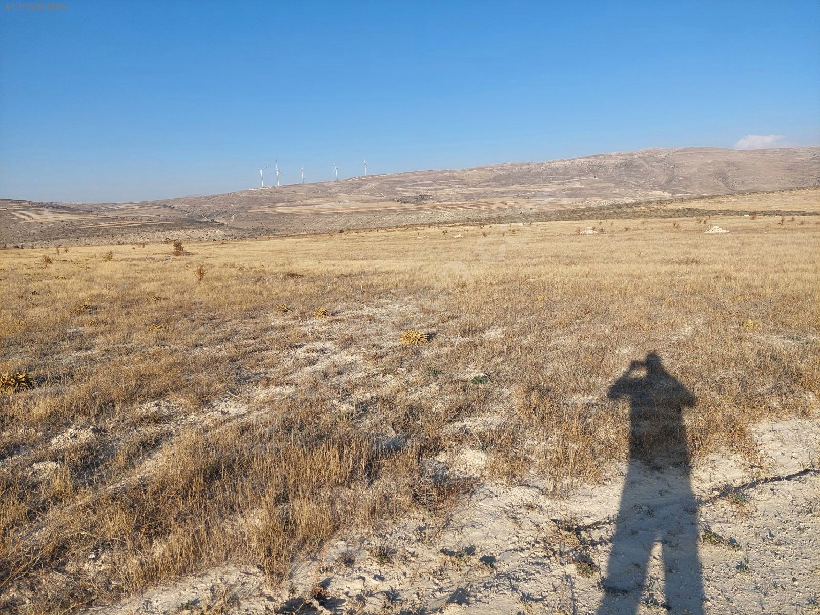 Mut Güme 12 dönüm tek tapu köye yakın tarla  12031M²  - MERSİN MUT fotoğraf 11