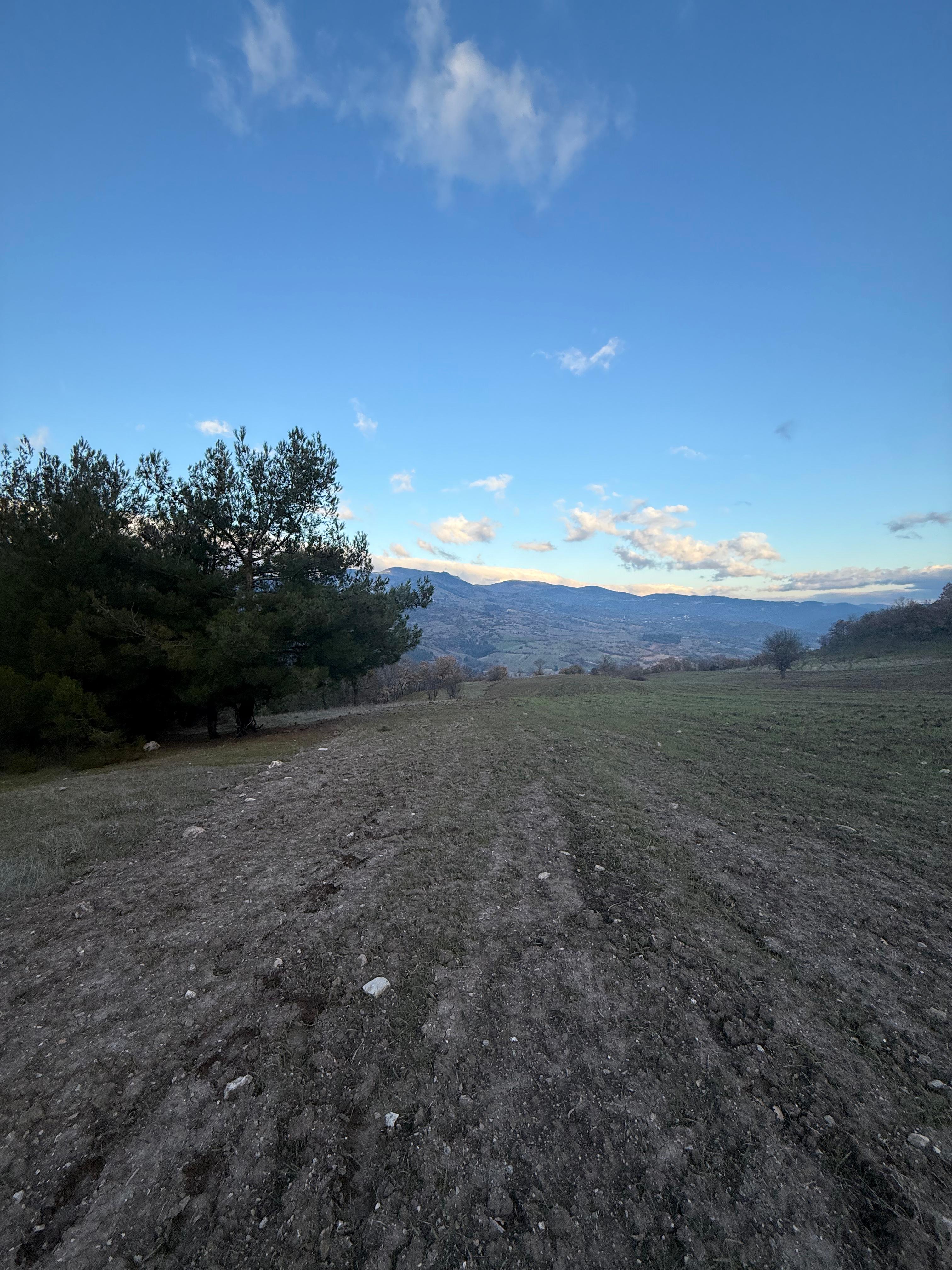 BALIKESİR SINDIRGI OSMANLAR  KÖYÜNDE  9.566   M²  TARLA  SATILIKTIR - BALIKESİR SINDIRGI fotoğraf 9