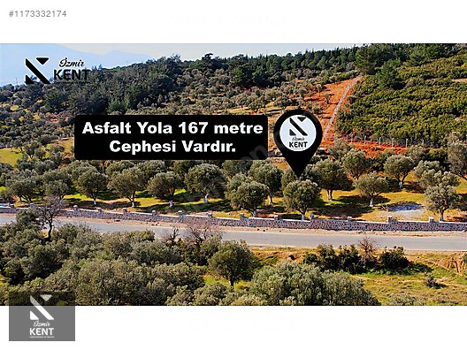 Kemalpaşa Sütçüler Satılık 11.398 m2 Bahçe - İZMİR KEMALPAŞA fotoğraf 4