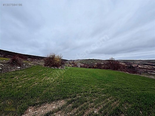 SAMSUN VEZİRKÖPRÜ ÇAMLIDERE'DE 6.670 M2 UYGUN ARSA - SAMSUN VEZİRKÖPRÜ fotoğraf 25