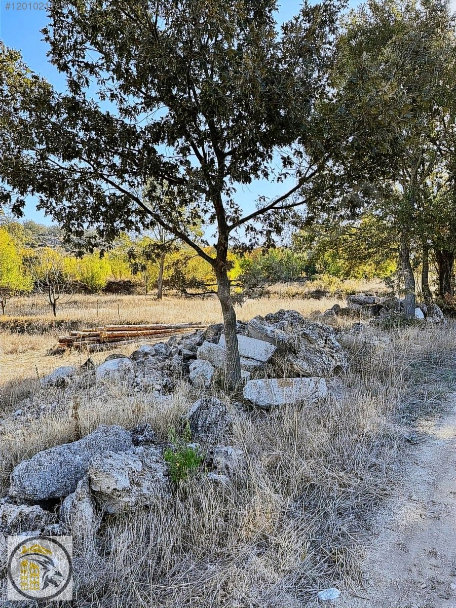 ASLAN EMLAK'TAN SATILIK GEDİZ KAYA KÖYDE 4253 M2 ÇİFTLİK - KÜTAHYA GEDİZ fotoğraf 3