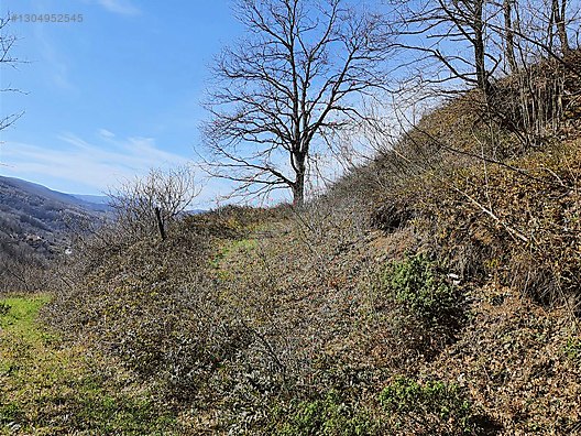 Gölcük Nüzhetiyede 2605m² Yatırımlık Fırsat Arazi - KOCAELİ GÖLCÜK fotoğraf 6