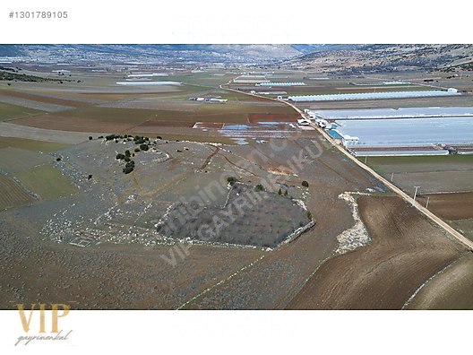 VİP GAYRİMENKUL'den KIŞLA MAH. 4.160m² CEVİZ BAHÇESİ - ANTALYA ELMALI fotoğraf 17