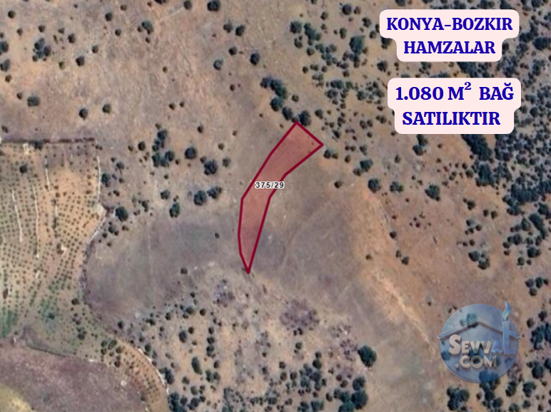 KONYA BOZKIR HAMZALAR  KÖYÜNDE 1.080 M²  BAĞ  SATILIKTIR - KONYA BOZKIR fotoğraf 2