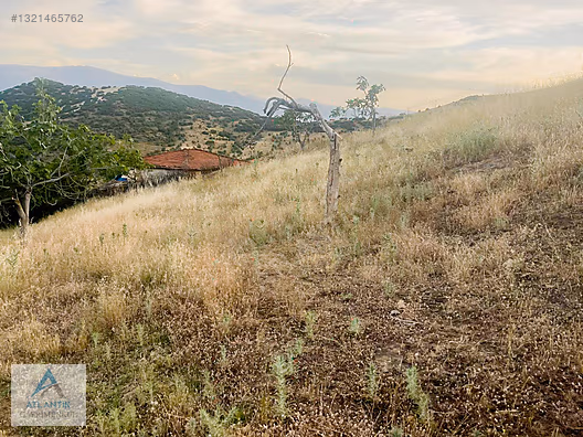 Köy merkezinde satılık hobi bahçesi - İZMİR ÖDEMİŞ fotoğraf 15