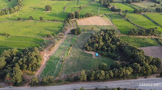 Balıkesir/Gönen'in Doğa İle İç İçe Köyünde 9.050 m² ve 7.260 m² Sulu(Pompaj) Tar - BALIKESİR GÖNEN fotoğraf 7