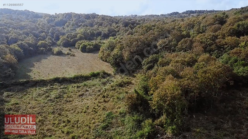 KANDIRA ÇALKÖYDE SATILIK TARLA - KOCAELİ KANDIRA fotoğraf 18