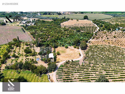 Kemalpaşa Yukarıkızılca Satılık 408 m2 Bahçe - İZMİR KEMALPAŞA fotoğraf 24