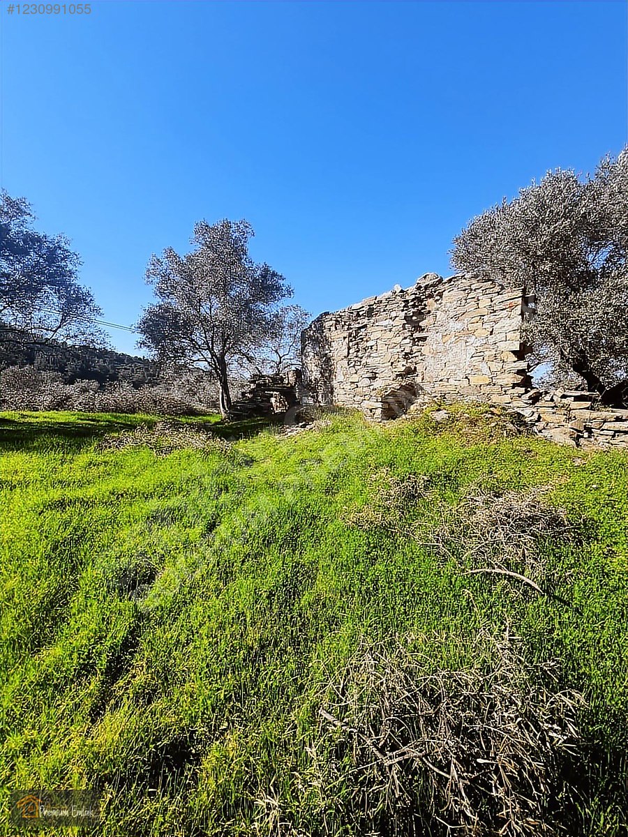 MİLAS KARACAHİSARDA KÖY İÇİ KAĞİR EV VE 980 M2 ARSASI - MUĞLA MİLAS fotoğraf 5