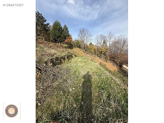 KESTEL LÜTFIYE MH SATILIK 1806M2 TARLA ASVALT YOLA CEPHE - BURSA KESTEL fotoğraf 12