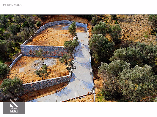 Kemalpaşa Sütçüler Satılık 873 m2 Zeytinlik - İZMİR KEMALPAŞA fotoğraf 31